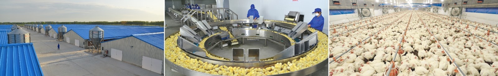 1608601066282183.jpg 1608601066282183.jpg